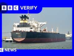 Quase 100 navios passam pelo Estreito de Ormuz – quem está passando?