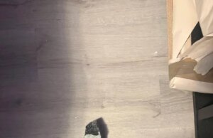 Possíveis quedas de meteoritos em casa na área de Houston, dizem autoridades