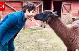 Adrian Grenier estabelece condições para retorno como ator