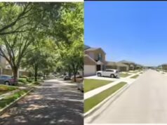 ‘Economiza US$ 5.000 por lote’: postagem viral revela por que construtores americanos estão vendendo casas sem árvores para famílias