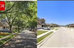 ‘Economiza US$ 5.000 por lote’: postagem viral revela por que construtores americanos estão vendendo casas sem árvores para famílias