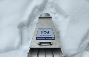 Les bons dieux de la truité
