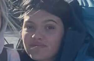 Turista canadense morreu afogado na Austrália como resultado de um ataque de dingo, dizem as autoridades