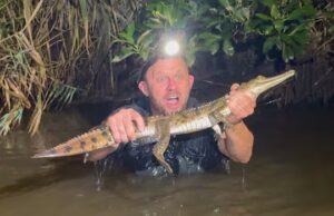 #TheMoment um australiano salvou um crocodilo