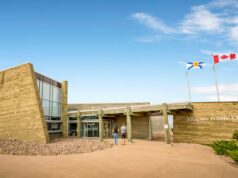 ‘Isso nos destrói’: Curador teme pelo futuro do Joggins Fossil Institute após cortes de financiamento provinciais