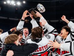 Oui à une loi para impedir os agentes de aproximar os jogadores de hóquei a um trop jeune âge!