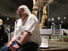 A ciência tem um problema de Epstein. Mulheres na paleontologia dizem que é um sintoma de uma misoginia mais profunda