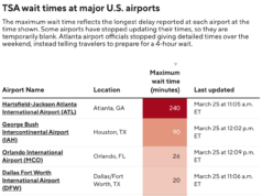 Choque e descrença no aeroporto de Houston enquanto 36% dos oficiais da TSA gritam: "Insano"