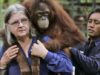Cientista orangotango canadense Biruté Galdikas morre aos 79 anos