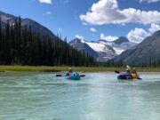 A ameaça de espécies invasoras estimula a proibição de remar em alguns cursos de água em Jasper e outros parques nacionais