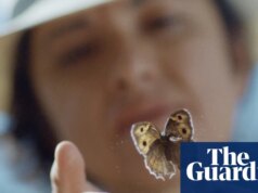 Quatro esposas, dois passaportes e uma borboleta muito esquiva: a busca de uma mulher por seu pai lepidopterista