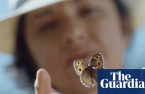 Quatro esposas, dois passaportes e uma borboleta muito esquiva: a busca de uma mulher por seu pai lepidopterista
