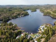 Os últimos lagos selvagens de Zec Jaro ameaçados pelos golpes florestais