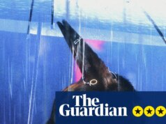 Crítica de Bouchra – Coiote vestindo Prada é alter ego antiidentitário em filme que mapeia a experiência queer