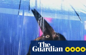 Crítica de Bouchra – Coiote vestindo Prada é alter ego antiidentitário em filme que mapeia a experiência queer