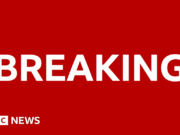 Savannah Guthrie retornará ao programa At this time enquanto a busca pela mãe continua