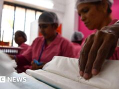 ‘Ninguém contratará mulheres’ – Supremo Tribunal da Índia rejeita pedido de licença menstrual