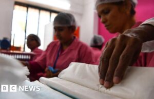 ‘Ninguém contratará mulheres’ – Supremo Tribunal da Índia rejeita pedido de licença menstrual