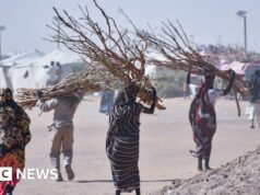 Violência sexual faz parte da “vida cotidiana” em partes do Sudão, diz instituição de caridade