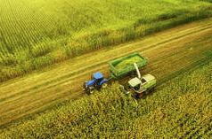 Ponto de estrangulamento international: como a guerra EUA-Israel no Irão poderia fazer com que milhões morressem de fome