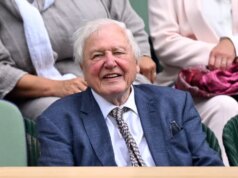 Sir David Attenborough retornará às telas antes do 100º aniversário