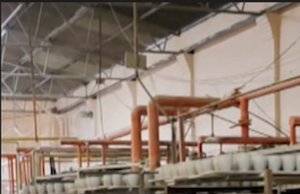 Assista: A famosa indústria de cerâmica de Khurja enfrenta paralisação em meio à crise do GLP