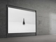 Samsung diz que suas TVs Micro RGB provavelmente não aumentarão seu ciclo de sono