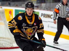 Os Tigres suspendem um de seus jogos indefinidos: «O respeito pelos valores de nossa organização não é negociável»