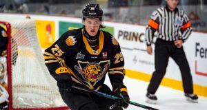 Os Tigres suspendem um de seus jogos indefinidos: «O respeito pelos valores de nossa organização não é negociável»