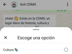 O chatbot ‘Xoli’ da Cidade do México ajudará os turistas da Copa do Mundo a navegar pela cidade