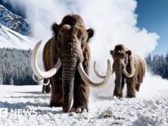 OpenAI encerra parceria com a Disney ao fechar o aplicativo de criação de vídeos Sora