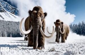 OpenAI encerra parceria com a Disney ao fechar o aplicativo de criação de vídeos Sora