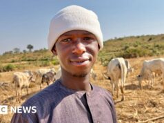 ‘A paz é uma coisa gradual’: como a terra, o gado e a identidade alimentam um conflito mortal na Nigéria