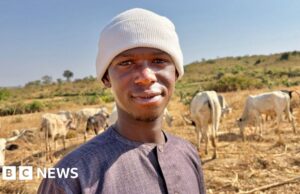 ‘A paz é uma coisa gradual’: como a terra, o gado e a identidade alimentam um conflito mortal na Nigéria