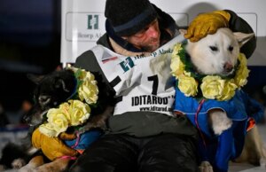 A ex-estrela de actuality exhibits Jessie Holmes vence a corrida de cães de trenó de Iditarod novamente