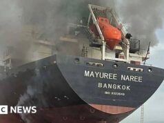 O que disseram os aliados dos EUA e a China sobre o envio de navios para o Estreito de Ormuz?