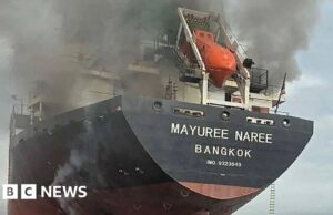 O que disseram os aliados dos EUA e a China sobre o envio de navios para o Estreito de Ormuz?
