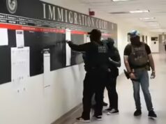 Sim, o ICE mentiu sobre seu poder de prender dentro dos tribunais de imigração, admite o DOJ