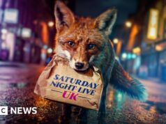 O Saturday Night time Stay UK está aqui – mas isso pode fazer você rir?