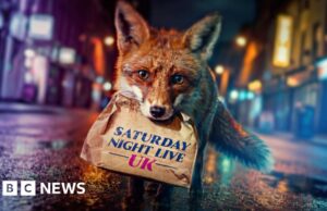 O Saturday Night time Stay UK está aqui – mas isso pode fazer você rir?