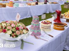 Cobertura, granulado e camadas de diversão: piquenique com bolo gigante chega a Sydney