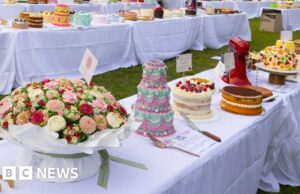 Cobertura, granulado e camadas de diversão: piquenique com bolo gigante chega a Sydney