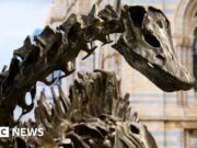 A atração turística mais fashionable do Reino Unido em 2025 ocupa o primeiro lugar do Museu Britânico