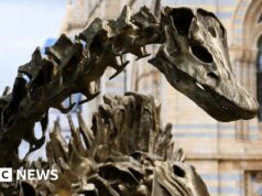 A atração turística mais fashionable do Reino Unido em 2025 ocupa o primeiro lugar do Museu Britânico