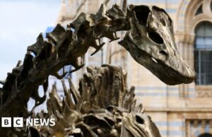 A atração turística mais fashionable do Reino Unido em 2025 ocupa o primeiro lugar do Museu Britânico