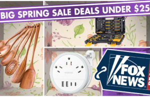 Ofertas da Amazon Massive Spring Sale: favoritos dos leitores da Fox Information abaixo de US $ 25