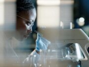 Governador de Nova York advertido para corrigir programa universitário baseado em raça ou ser levado a tribunal