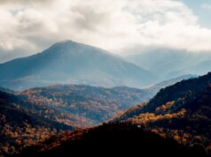 Mulher morre após cair de um penhasco de 18 metros ao longo da fashionable trilha das Smoky Mountains