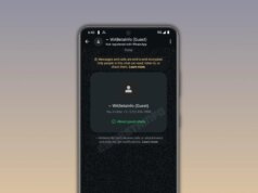 O recurso de bate-papo como convidado do WhatsApp permitirá que você se comunique com usuários sem uma conta
