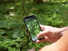 Como os usuários do aplicativo iNaturalist se divertem enquanto ajudam a ciência
